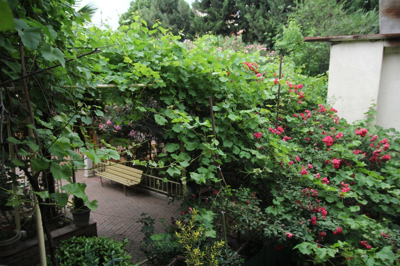 Guesthouse Different Tbilisi Luaran gambar