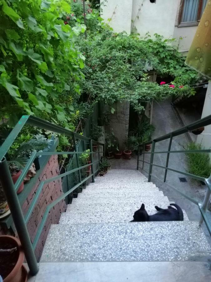 Guesthouse Different Tbilisi Luaran gambar